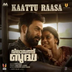 Kaattu Raasa