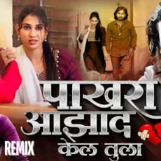 Pakhara Aazad Kela Tula