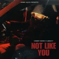 Not Like You
