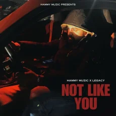 Not Like You