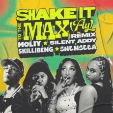 Shake It To The Max