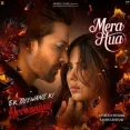 Mera Hua